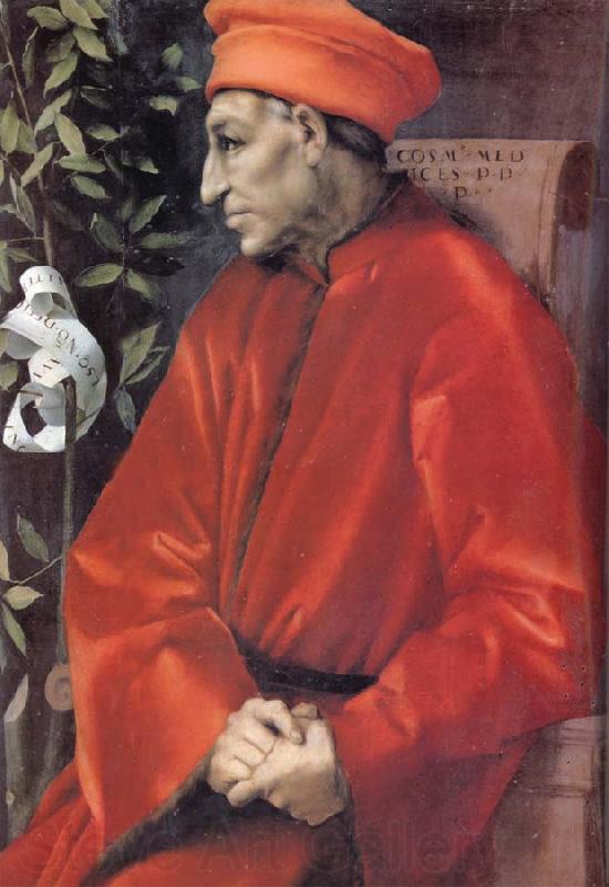 Jacopo Pontormo Cosimo de Medici the Elder